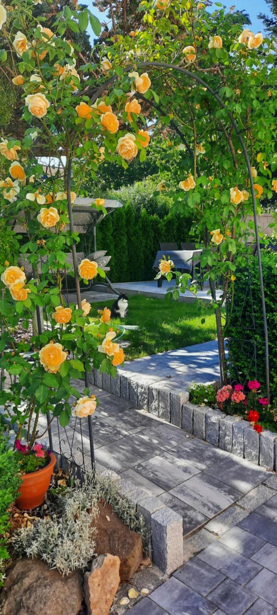 Villa Shafaly Marianske Lazne Luaran gambar